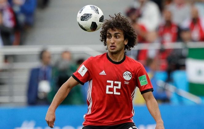 Amr Warda
