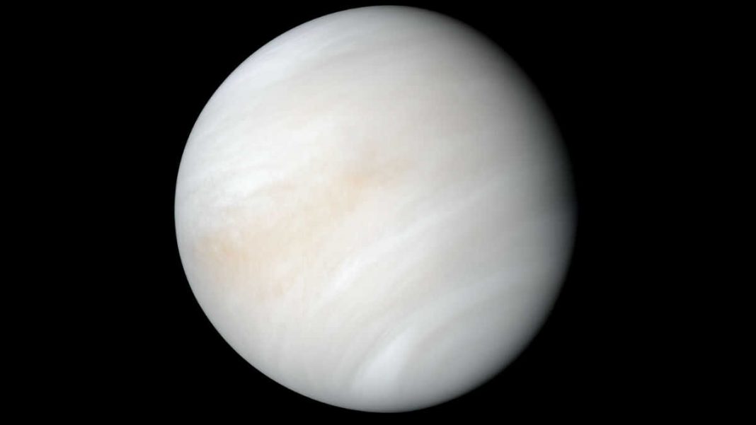 venus