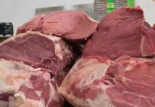 Matadero clandestino en Durango mezclaba carne de caballo con res para su venta