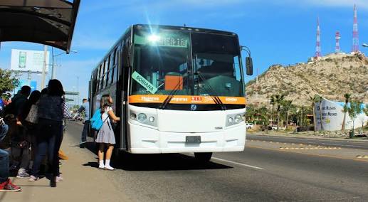 bus