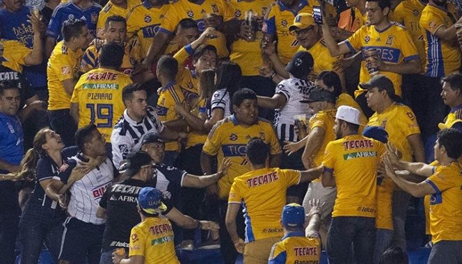 tigres