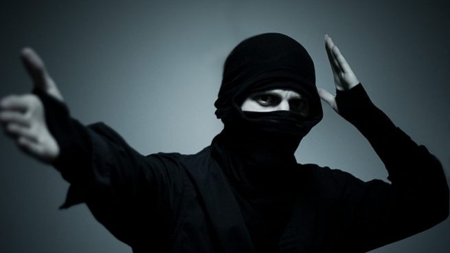 ninja