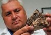 Científico mexicano es homenajeado por la NASA; una montaña de Marte llevará su nombre