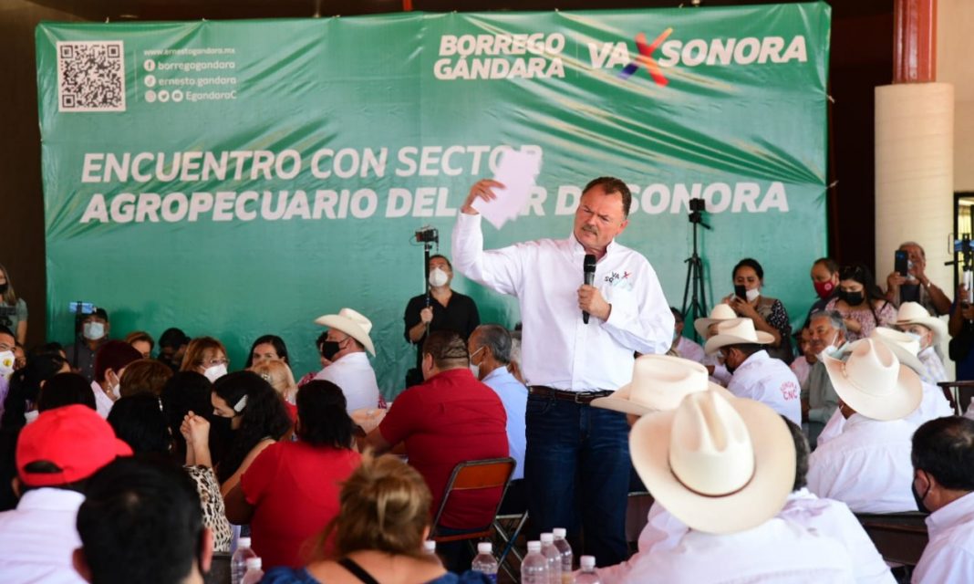 “Borrego” Gándara