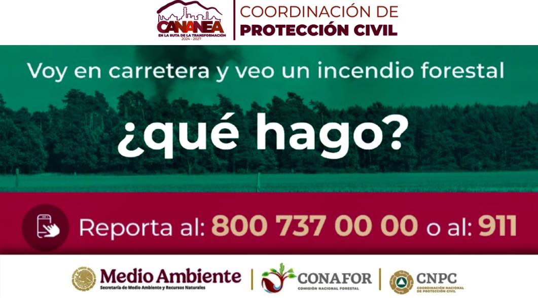 ayuda cananea
