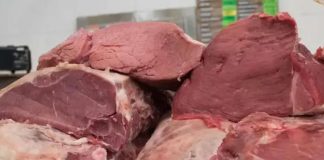 Matadero clandestino en Durango mezclaba carne de caballo con res para su venta