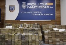 Caen en España 20 sujetos ligados al CJNG; transportaban droga en maquinaria industrial