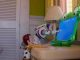 «Toy Story 5» aborda las tensiones tecnológicas y las dificultades de las preadolescentes