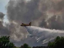 Incendio consume un bosque en Francia