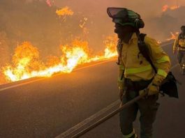 Incendio en el sur de España deja al menos 12 muertos y 19 desaparecidos