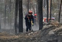 Miles de evacuados por incendio cerca de París
