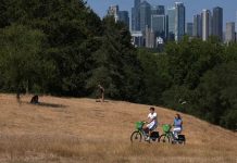 Registra Reino Unido su verano más caluroso